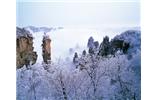 春節(jié)旅游：張家界、袁家界、天子山、寶峰湖/黃龍洞度假二晚三日游
